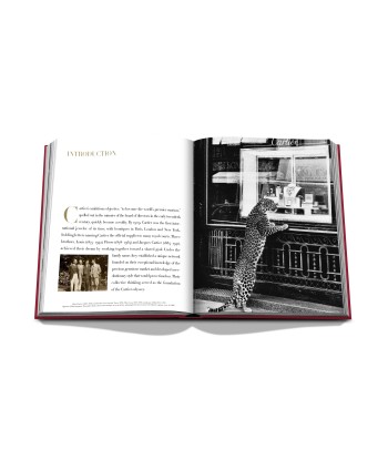 Livre Cartier: Impossible Collection l'achat 