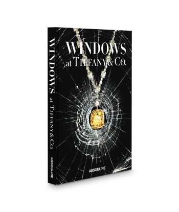 Livre Windows at Tiffany & Co. (Icon Edition) le concept de la Pate a emporter 