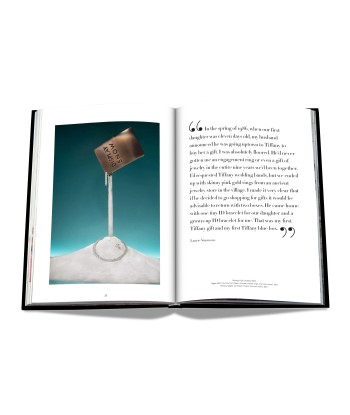 Livre Windows at Tiffany & Co. (Icon Edition) le concept de la Pate a emporter 