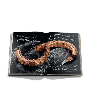 Livre Bulgari: Beyond Time Vous souhaitez 