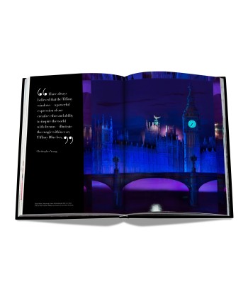 Livre Windows at Tiffany & Co. (Icon Edition) le concept de la Pate a emporter 