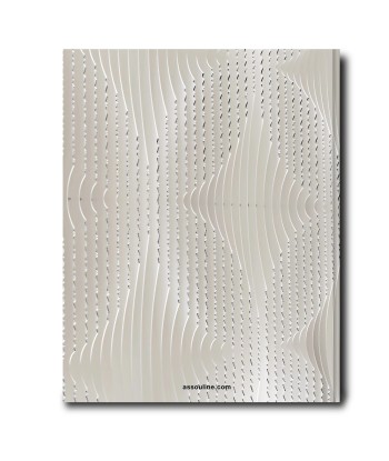 Livre Louis Vuitton Skin: Architecture of Luxury (New-York Edition) online