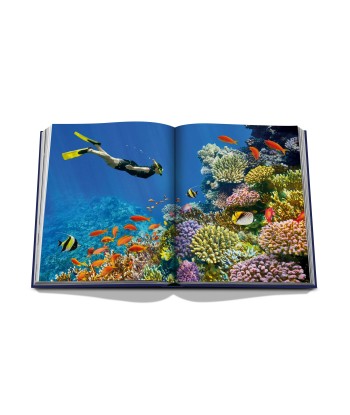 Livre Ocean Wanderlust À commander