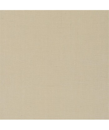 Papier Peint RL Jute Weave Oyster français