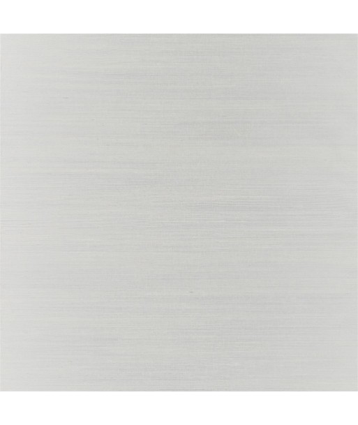 Papier Peint RL Maslin Weave Platinum en ligne