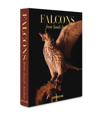 Falcons from Saudi Arabia des créatures d'habitude