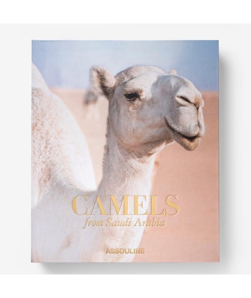 Camels from Saudi Arabia à prix réduit toute l'année