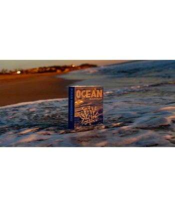 Livre Ocean Wanderlust (Waterproof Edition) hantent personnes