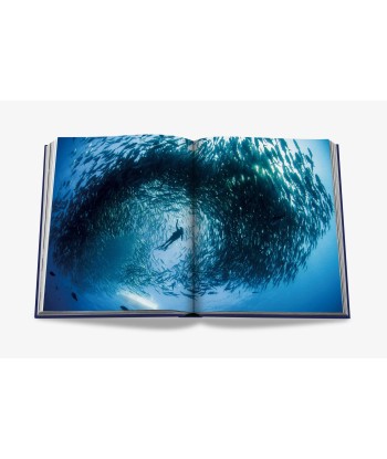 Livre Ocean Wanderlust (Waterproof Edition) hantent personnes