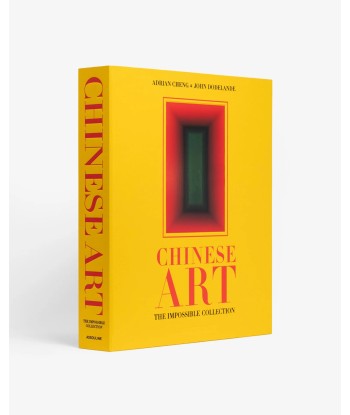 Livre Chinese Art: Impossible Collection en stock