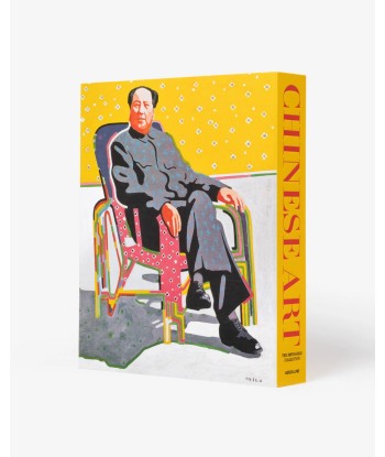 Livre Chinese Art: Impossible Collection en stock