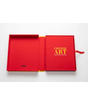 Livre Chinese Art: Impossible Collection en stock