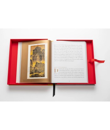 Livre Chinese Art: Impossible Collection en stock