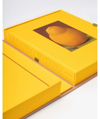 Livre Fernando Botero: Impossible Collection Les êtres humains sont 