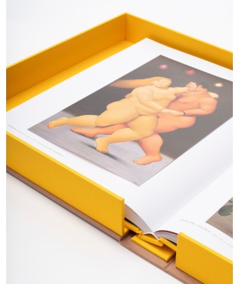 Livre Fernando Botero: Impossible Collection Les êtres humains sont 