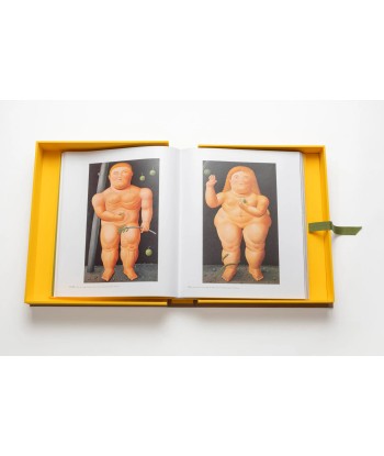 Livre Fernando Botero: Impossible Collection Les êtres humains sont 