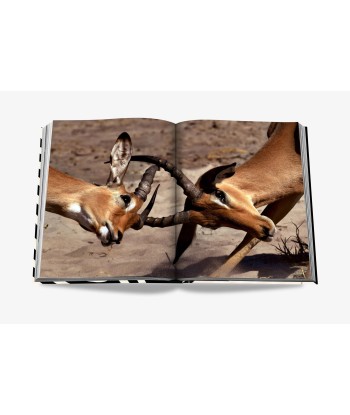 Livre African Adventures: The Greatest Safari On Earth prix pour 