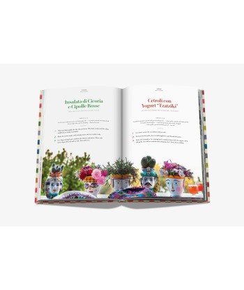 Livre The Missoni Family Cookbook Dans la société mordern