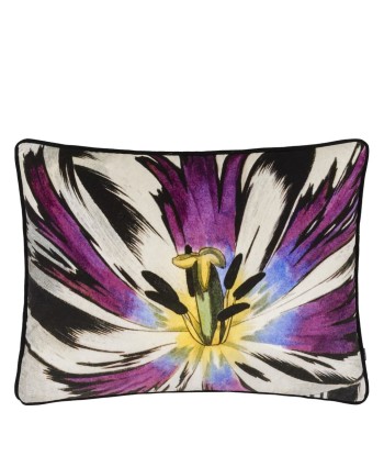 Coussin Eclosion Agate Economisez 