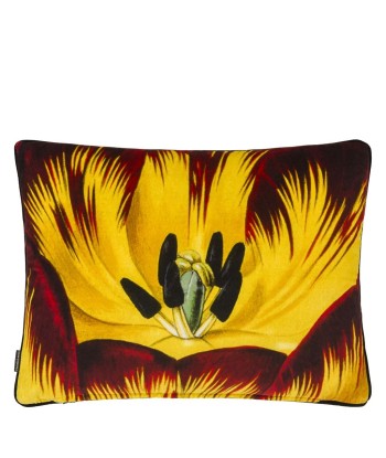 Coussin Eclosion Agate Economisez 