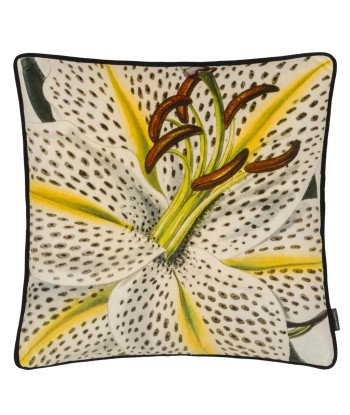 Coussin Flowered Craie outlet