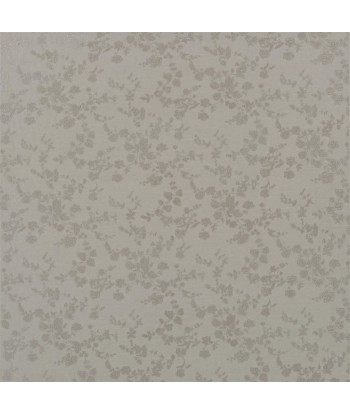 Tissu RL Ambleside Embroidery Limestone à prix réduit toute l'année