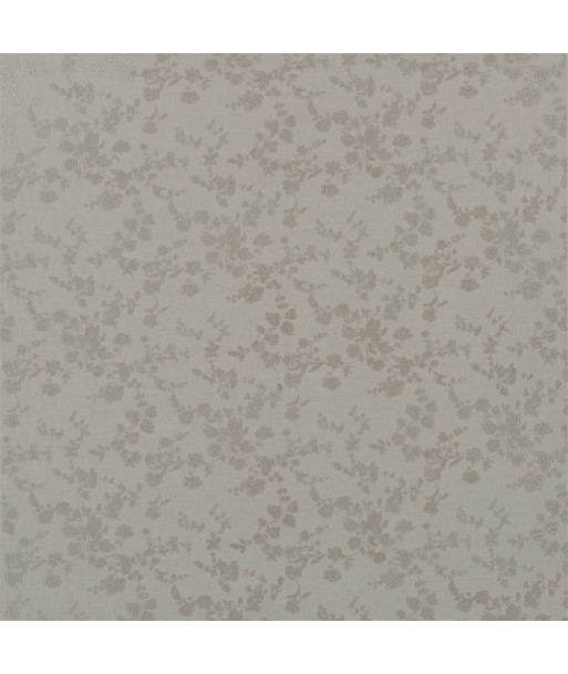 Tissu RL Ambleside Embroidery Limestone à prix réduit toute l'année