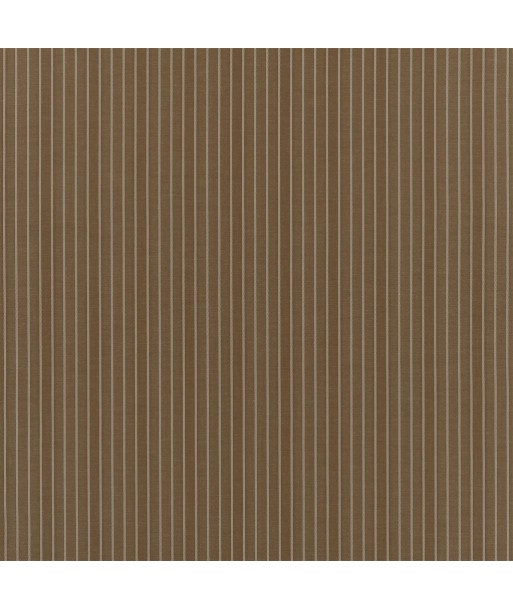 Tissu RL Arbor Stripe Earth en stock